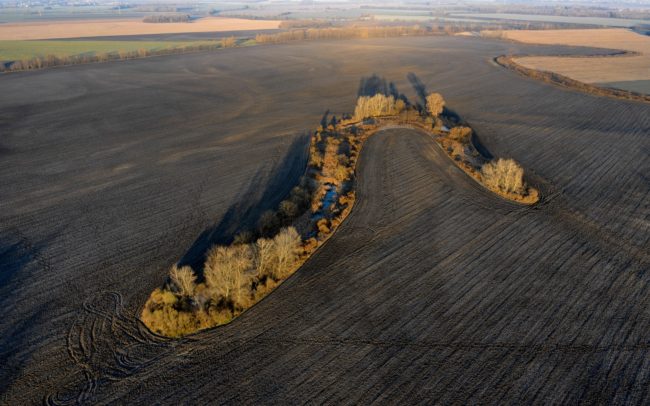 Gyakran úgy gondolunk a természetes élőhelyekre, mint nagy kiterjedésű területekre. Ez a Dercsika melletti alakzat az egykori folyóágak és holtágak – a Duna világszinten egyedi belföldi deltája - likvidálásának korából maradt fenn. Az ilyen kis, elszórt, szigetszerű természetes foltok a kultúrtáj végtelenjében rendkívül fontosak az állatvilág és a biológiai sokféleség megőrzésének érdekében.