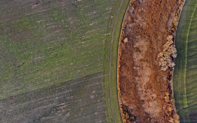 Na satelitných záberoch je tiež vidieť, že krajine medzi Dolným Barom a Dolným Štálom dominuje meandrujúca čiara. Áno, horizontálne vlny bývalej rieky. Časť, ktorá križuje cestu I.triedy 63, zostala močaristou, je zarastená trstinou a lesmi. Zdá sa, že s ňou nebolo manipulované, odkedy človek uzavrel kohútiky, ktoré jej dodávali vodu. Pomaly zarastá vegetáciou, sukcesia funguje. Toto sa stáva aj vtedy, keď prírodný tok pretína svoje meandre, je to prirodzený osud takto vytvorených mŕtvych ramien. Vyschnú, premenia sa, zarastajú tŕstím a potom lesom. V priebehu storočí prechádza niekdajšie koryto niekoľkými fázami, za sebou nasledujúcimi biotopmi. Vedľa, na repkovom poli viditeľné malé biele bodky sú labute, ktoré sa v zime živili hlavne repkou.