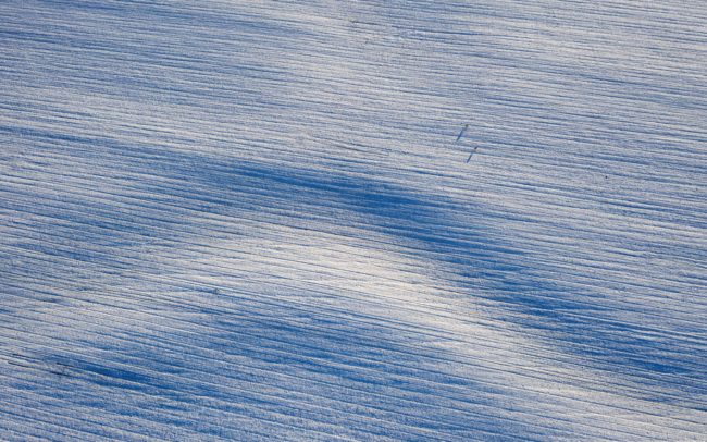 This dry riverbed meanders through the snowy landscape for miles. It is impossible to show its full trail in one photo, but perhaps the roe deer on the former undulating shores also show its imposing dimensions well. Great Rye Island, Slovakia
