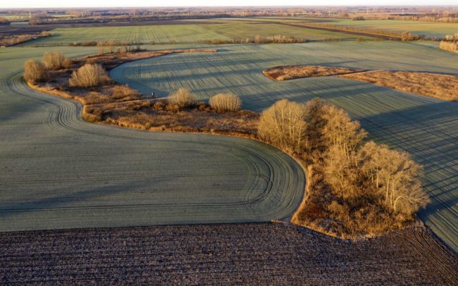 Csilizköz egykori folyóiból lett szigetek a mezőgazdasági tájban Miléniumtól délre, Balonytól északra. Pusztán hatalmas méretük okán is komoly jelentőségű, fajgazdag élőhelyek ezek a megőrződött nádas-bokros-fás folyókanyarok. Létjogosultságuk nem kérdéses, hisz kincset érnek. Jövőjük viszont annál inkább bizonytalan, mert értéküket nem vagyunk képesek meglátni. Míg régen a folyók a természetes részei voltak a tájnak, amelyekkel az ember együtt tudott élni, addig mai maradványaik léte bizonytalan, mivel sokkal inkább útjában állnak az emberi érdeknek. Félő, hogy a környezet száradása és a művelhető föld utáni vágy előbb-utóbb eltörli őket a föld színéről.