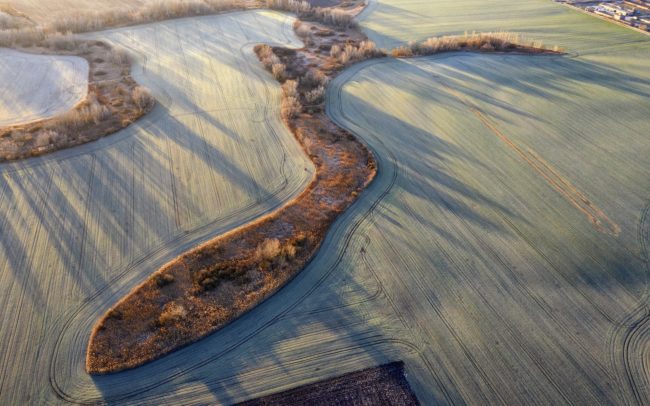 The former rivers of Great Rye Island are isles in the agricultural landscape. These preserved river bends with reeds, bushes and trees are very important and species-rich habitats simply because of their huge size. Their right to exist is not in question, because they are worth a treasure. Their future is all the more uncertain because we are unable to see their value. While rivers used to be natural parts of the landscape, with which people could live together, the existence of their remains today is uncertain, as they are much more in the way of human interests. It is feared that the drying of the environment and the desire for arable land will sooner or later wipe them off the face of the earth. Great Rye Island, Slovakia.