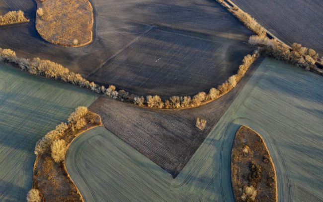 The former rivers of Great Rye Island are isles in the agricultural landscape. These preserved river bends with reeds, bushes and trees are very important and species-rich habitats simply because of their huge size. Their right to exist is not in question, because they are worth a treasure. Their future is all the more uncertain because we are unable to see their value. While rivers used to be natural parts of the landscape, with which people could live together, the existence of their remains today is uncertain, as they are much more in the way of human interests. It is feared that the drying of the environment and the desire for arable land will sooner or later wipe them off the face of the earth. Great Rye Island, Slovakia.