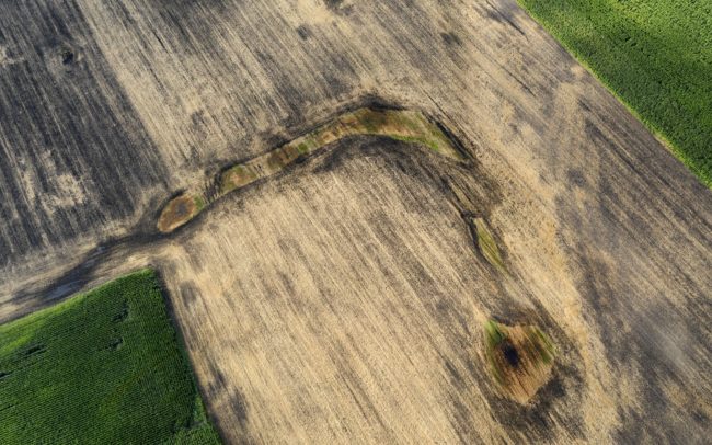 Fotografia niekdajšieho ramena Dunaja vedľa obce Vrakúň v nás možno prebudí dôležitosť prinavrátenia života do poľnohospodárskej krajiny, ak chceme žiť v rôznorodom, bohatom životnom prostredí. Revitalizácia malých častí krajiny je jednou z ciest, ako aspoň sčasti dosiahnuť pôvodné druhové bohatstvo v človekom pozmenenej krajine.