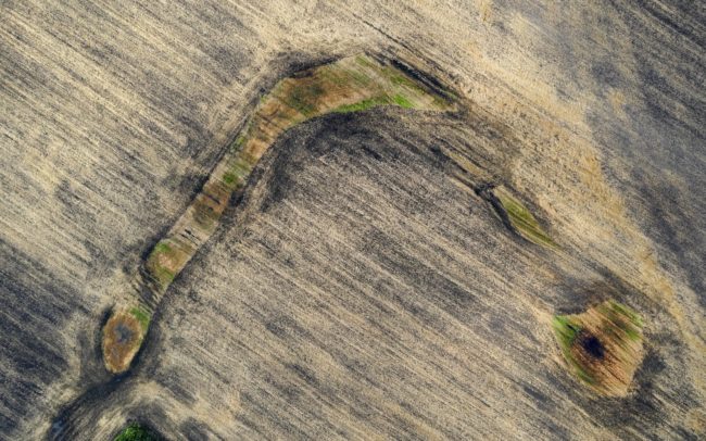 Fotografia niekdajšieho ramena Dunaja vedľa obce Vrakúň v nás možno prebudí dôležitosť prinavrátenia života do poľnohospodárskej krajiny, ak chceme žiť v rôznorodom, bohatom životnom prostredí. Revitalizácia malých častí krajiny je jednou z ciest, ako aspoň sčasti dosiahnuť pôvodné druhové bohatstvo v človekom pozmenenej krajine.