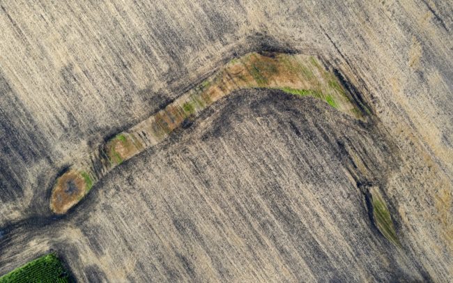 Fotografia niekdajšieho ramena Dunaja vedľa obce Vrakúň v nás možno prebudí dôležitosť prinavrátenia života do poľnohospodárskej krajiny, ak chceme žiť v rôznorodom, bohatom životnom prostredí. Revitalizácia malých častí krajiny je jednou z ciest, ako aspoň sčasti dosiahnuť pôvodné druhové bohatstvo v človekom pozmenenej krajine.