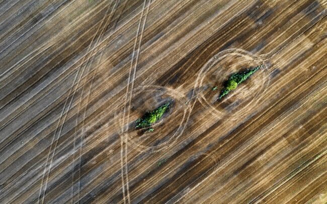 Sokszor csak ennyi marad utánunk, ami zöld, ami élhető. A semminél kicsivel több, az elégnél jóval kevesebb. Kevés, mert ezek a szemernyi foltocskák a legtöbb élőlény számára nem elég nagyok, azonkívül túl izoláltak is. És ezek az üde pötyök a kultúrtáj ruháján is talán csak azért maradnak meg, mert öntözőberendezés részeit rejtik. Csallóköz.