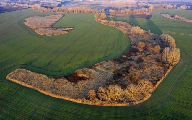 Csilizköz egykori folyóiból lett szigetek a mezőgazdasági tájban Miléniumtól délre, Balonytól északra. Pusztán hatalmas méretük okán is komoly jelentőségű, fajgazdag élőhelyek ezek a megőrződött nádas-bokros-fás folyókanyarok. Létjogosultságuk nem kérdéses, hisz kincset érnek. Jövőjük viszont annál inkább bizonytalan, mert értéküket nem vagyunk képesek meglátni. Míg régen a folyók a természetes részei voltak a tájnak, amelyekkel az ember együtt tudott élni, addig mai maradványaik léte bizonytalan, mivel sokkal inkább útjában állnak az emberi érdeknek. Félő, hogy a környezet száradása és a művelhető föld utáni vágy előbb-utóbb eltörli őket a föld színéről.