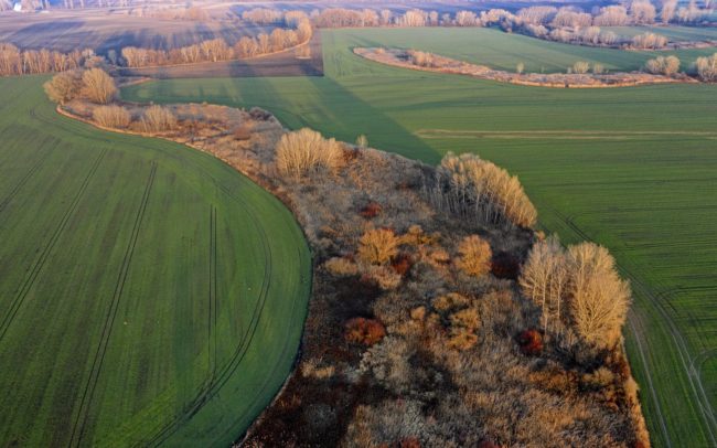 Csilizköz egykori folyóiból lett szigetek a mezőgazdasági tájban Miléniumtól délre, Balonytól északra. Pusztán hatalmas méretük okán is komoly jelentőségű, fajgazdag élőhelyek ezek a megőrződött nádas-bokros-fás folyókanyarok. Létjogosultságuk nem kérdéses, hisz kincset érnek. Jövőjük viszont annál inkább bizonytalan, mert értéküket nem vagyunk képesek meglátni. Míg régen a folyók a természetes részei voltak a tájnak, amelyekkel az ember együtt tudott élni, addig mai maradványaik léte bizonytalan, mivel sokkal inkább útjában állnak az emberi érdeknek. Félő, hogy a környezet száradása és a művelhető föld utáni vágy előbb-utóbb eltörli őket a föld színéről.