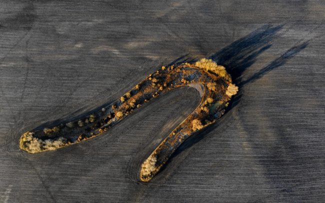 Gyakran úgy gondolunk a természetes élőhelyekre, mint nagy kiterjedésű területekre. Ez a Dercsika melletti alakzat az egykori folyóágak és holtágak – a Duna világszinten egyedi belföldi deltája - likvidálásának korából maradt fenn. Az ilyen kis, elszórt, szigetszerű természetes foltok a kultúrtáj végtelenjében rendkívül fontosak az állatvilág és a biológiai sokféleség megőrzésének érdekében.