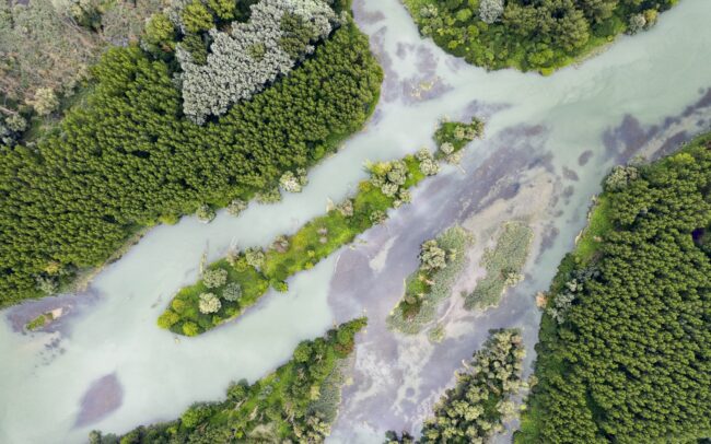 Duna belföldi deltájának maradványai a Csallóközben. Szlovákiában a mai napig nincs meg a kellő közösségi és politikai akarat a régió kedvező víz-és talajkincsét létrehozó egyedi folyami ágrendszer utolsó foltjainak védelmére.