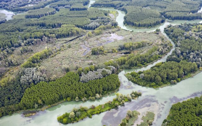 Duna belföldi deltájának maradványai a Csallóközben. Szlovákiában a mai napig nincs meg a kellő közösségi és politikai akarat a régió kedvező víz-és talajkincsét létrehozó egyedi folyami ágrendszer utolsó foltjainak védelmére.