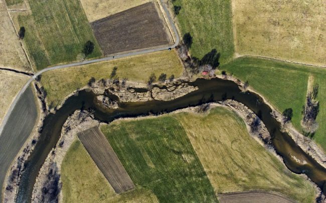 WILDisland: DE 0004, 0,1 ha, 2770 km a torkolatig. Neudingen és Geisingen, Németország.