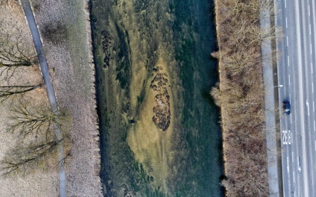 Sigmaringen városa Németországban főleg a kiválóan megőrzött váráról ismert. A Duna itt, a felső folyásán keskeny folyamként kanyarul egyet a város körül. Két sziget is van itt a folyón, a DE0129 és a DE005 a Danubeparks Network of Protected Areas által számbavéve. Csupán néhány négyzetméteresek, ám az utóbbi évek megőrzésükre irányuló intézkedésekből is látható, hogy mennyire fontosak az ilyen talpalatnyi helyek a vízi világ, mint például a vízimadarak számára. A szigeteken szárcsák és hattyúk is tartózkodnak