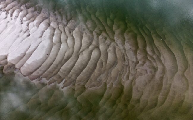 Egy sziget a Dunában, Szerbia és Horvátország határán. A Danubeparks - Network of Protected Areas által HR023-as számot kapta. S jóllehet, csupán parányi kis szárazulat a zátony, a vízimadarak számára érték. Nem mintha az országok vagy a számok fogalma bármi jelentősséggel bírna számukra. Hanem a víz által védett hordalékpad nyugodt fészkelést biztosít számukra. A szabályozások miatt a folyók egyre kevesebb szigetet tudnak kiépíteni, így az ilyen zátonyok egyre nagyobb hiánycikket jelentenek.