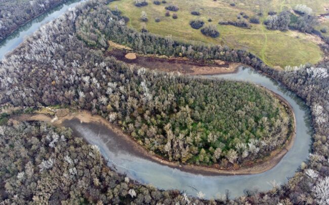 A Morva-folyó az egyik legfontosabb, egyben leginkább megőrzött állapotú mellékfolyója a Dunának. A képeken az egyik holtága látható (Erdőhát Tájvádelmi Terület).
