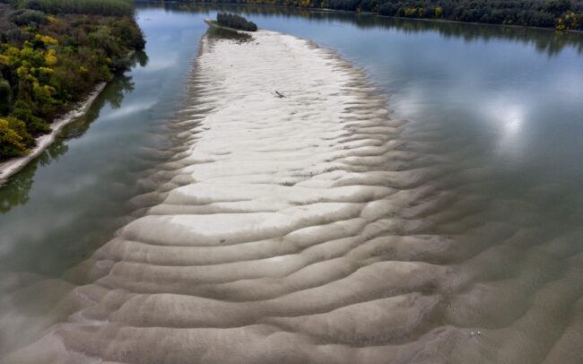 Egy sziget a Dunában, Szerbia és Horvátország határán. A Danubeparks - Network of Protected Areas által HR023-as számot kapta. S jóllehet, csupán parányi kis szárazulat a zátony, a vízimadarak számára érték. Nem mintha az országok vagy a számok fogalma bármi jelentősséggel bírna számukra. Hanem a víz által védett hordalékpad nyugodt fészkelést biztosít számukra. A szabályozások miatt a folyók egyre kevesebb szigetet tudnak kiépíteni, így az ilyen zátonyok egyre nagyobb hiánycikket jelentenek.