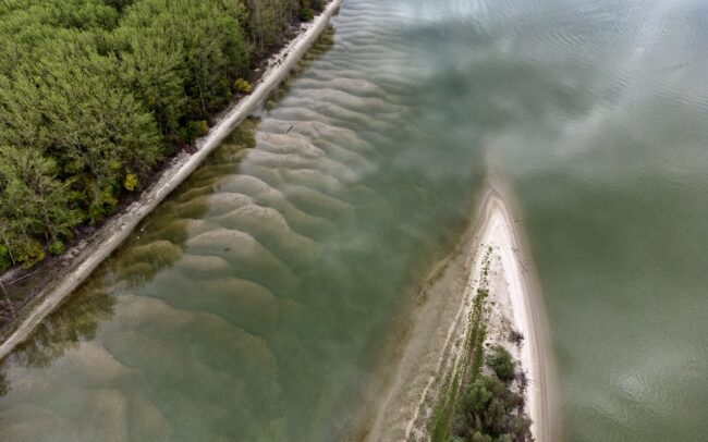 Egy sziget a Dunában, Szerbia és Horvátország határán. A Danubeparks - Network of Protected Areas által HR023-as számot kapta. S jóllehet, csupán parányi kis szárazulat a zátony, a vízimadarak számára érték. Nem mintha az országok vagy a számok fogalma bármi jelentősséggel bírna számukra. Hanem a víz által védett hordalékpad nyugodt fészkelést biztosít számukra. A szabályozások miatt a folyók egyre kevesebb szigetet tudnak kiépíteni, így az ilyen zátonyok egyre nagyobb hiánycikket jelentenek.