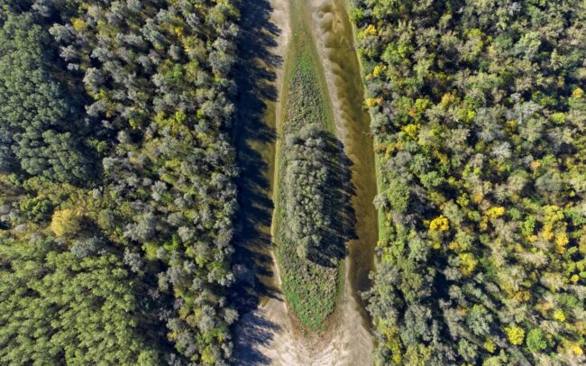 A Danubeparks WILDIsland által RS104-es névre keresztelt folyami sziget a szerbiai Gornje Podunavlje Természetvédelmi Rezervátumban. Két jóval nagyobb sziget-testvére közé beszorulva, alig fél hektárja ellenére kincset ér az érintetlensége révén. Jelenlétünk hatása a Duna mentén értékké emeli már akár az ilyen parányi élőhelyfoltokat is.