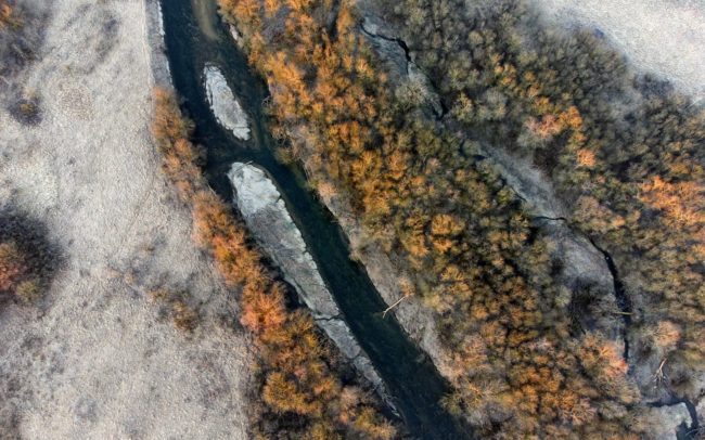 Az ember és természet védelme egyben is működik, ha van rá akarat! Íme a példa! A németországi Blochinger Sandwinkel Természeti Rezervátum és szigetei a Duna helyreállított felső szakaszán. A Duna egykor itt is erősen meanderezett, oldalazott. A 19. században kiegyenesítették a kanyarokat az itt épülő vasútvonal, valamint a folyó feletti nagyobb kontroll érdekében. Aztán 1991 és 1993 között régi topográfiai térképek alapján elvégzett renaturálási munkálatok során egy kanyart hoztak itt létre, amelynek környékén a víz természetes eróziós és lerakó munkája révén kavicsos szigetek alakultak ki, melyeket mára benőtt a természetes növényzet. A rezervátum 1996-ban létesült, 22 hektáron fekszik. A Duna a dinamikájának köszönhetően egy dinamikus, jellemző vízi tájat épített ki, ahol az azt követő szukcesszió különféle élőhelyeket hozott létre. Ma 65 madárfaj otthona, amelyek közül 33 veszélyeztetett, a Vörös listán is szerepelő faj. Ezt az intézkedés az Integrált Duna Program projektje volt. Célkitűzésük kettős volt: a Duna élőhelyeinek megőrzése, valamint a környező települések árvíztől való megóvása.