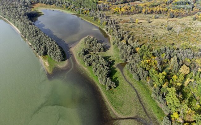 A Duna számos szigete - mint ez a Horvátországhoz tartozó földdarab is - alacsonyabb vízállásnál zátonyokkal kapcsolatba kerül a parti élőhelyekkel.