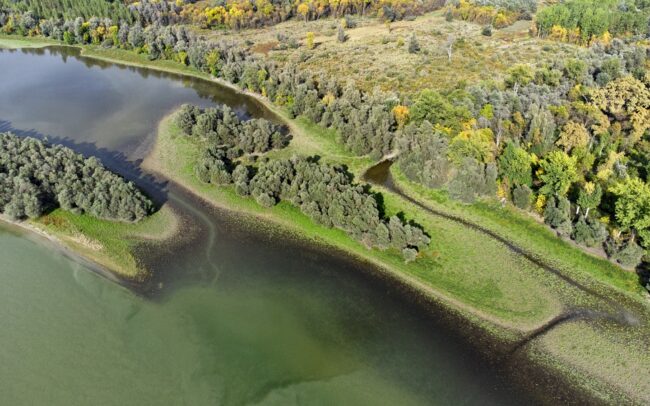 A Duna számos szigete - mint ez a Horvátországhoz tartozó földdarab is - alacsonyabb vízállásnál zátonyokkal kapcsolatba kerül a parti élőhelyekkel.