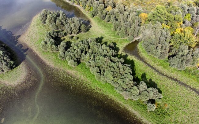 A Duna számos szigete - mint ez a Horvátországhoz tartozó földdarab is - alacsonyabb vízállásnál zátonyokkal kapcsolatba kerül a parti élőhelyekkel.