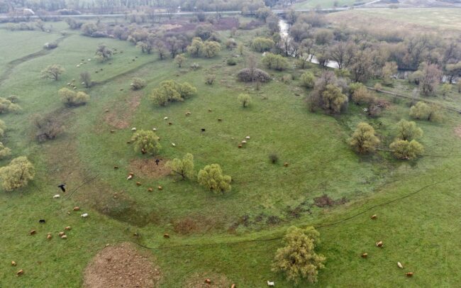 A Sajó a Duna vízgyűjtőjének egyik jelentős folyója. A fotókon természetesen lefűződött vagy mesterségesen átvágott kanyarulatai láthatók Kazincbarcikánál. Holott a múltban volt igyekezet a folyó megzabolázására, ennek azonban jelentős része csupán terv maradt. Ha kiépültek is szabályozó művek, azok egy részét a folyó lerombolta. Ennek köszönhetően a folyó csak részben szabályozott, sok helyen a mai napig a maga módján tudja építeni kanyarulatait, megőrizte vadregényes mivoltát. A nagy mértékű szennyezést azonban a Sajó sem tudta elkerülni. Szlovákiában egykor papírgyárak, Magyarországon a nehézipar károsította. Ám vizének minősége - eltekintve a 2022-ben Alsósajónál történt katasztrófától – az utóbbi évtizedekben sokat javult. 223 km hosszan folyik Szlovákián és Magyarországon át, majd Tiszaújvárosnál találkozik a Tiszával.