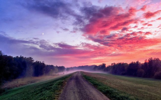 A Fekete-erdőtől a Fekete-tengerig, forrásától a deltáig utazom be a folyónkat, amely mint valami nyaklánc, védett területeket köt össze. Valódi drágakövek ezek, némelyikük világszinten értékes vadon. Az európai biodiverzitás utolsó mohikánjai. Kisebb ékeit - a szigeteket - szeszélyes módon fűzte rá a folyóra a víz, egyben behatárolta létüket és ez némileg őrzi eredeti állapotukat. Védett területek és szigetek. Bejárom, fotózom őket, tájként, ha úgy való, vagy egy-egy lényükön keresztül. Figyelem és próbálom megérteni, hogy ezen a néhány ezer kilométeren hogyan él együtt a folyó és az ember. Utazás és fotózás keveréke ez. Idegen országokban, ismeretlen viszonyok között az idő más dimenziójában létezek. Nincs sok alkalom fényekre várni, helyekre visszatérni, újragondolni a képet. Így a fotók jobbára a véletlen művei lesznek. Pár éves vándorlás sok napjának egyszeri alkalmak szülte képei.