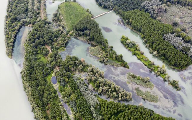 Remains of the inland delta od Danube in the Great Rye island. To this day, there is not enough community and political will in Slovakia to protect the last spots of this unique river branch system that creates favorable water and soil resources in the region.
