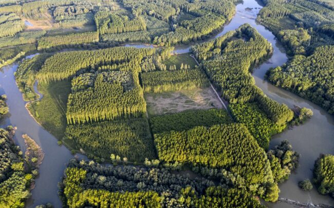 Szigetköz - náš južný sused v Maďarsku. Ramenná sústava na druhej strane Dunaja je skutočným ostrovným rajom. Hoci tvorí (teda pôvodne tvoril) s našou vnútrozemskou deltou jednotný ekologický systém, maďarská strana podnikla v poslednom období z hľadiska vodného hospodárstva oveľa pokrokovejšie kroky ako slovenská. Intenzívne lesné hospodárstvo však aj tu vytvára efektne monotónnu druhovú mozaiku stromov.