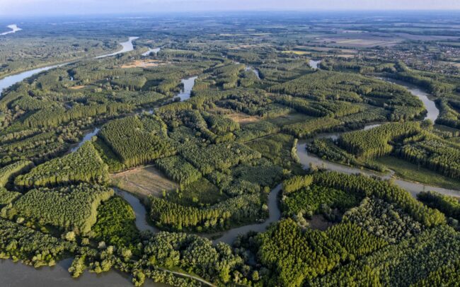 Szigetköz - náš južný sused v Maďarsku. Ramenná sústava na druhej strane Dunaja je skutočným ostrovným rajom. Hoci tvorí (teda pôvodne tvoril) s našou vnútrozemskou deltou jednotný ekologický systém, maďarská strana podnikla v poslednom období z hľadiska vodného hospodárstva oveľa pokrokovejšie kroky ako slovenská. Intenzívne lesné hospodárstvo však aj tu vytvára efektne monotónnu druhovú mozaiku stromov.