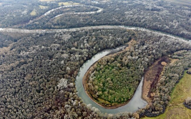 The Morava river is one of the most important and best-preserved tributaries of the Danube. The pictures show one of its backwaters (Záhorie PLA).