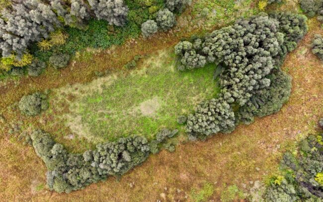 Due to their isolation, the islands are important guardians of the habitats of the Danube and thus of its biodiversity. Gornje Podunavlje Nature Reserve, Serbia.