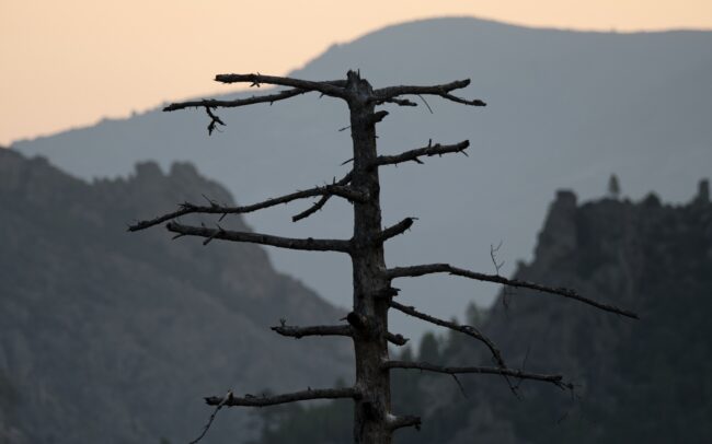 Vallée de la Restonica