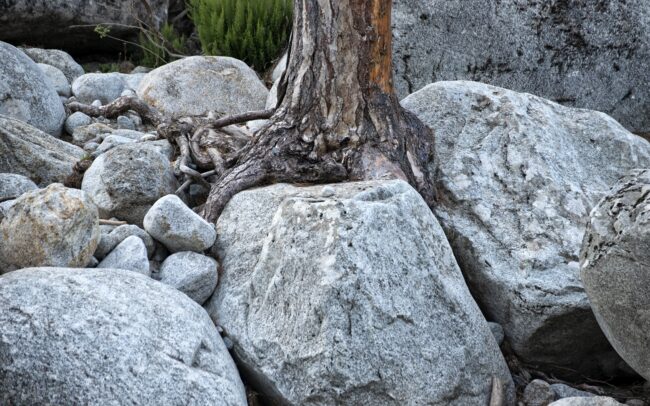 Vallée de la Restonica